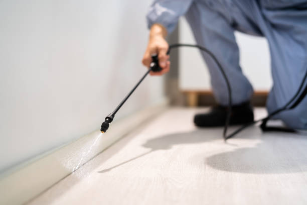Professional exterminator conducting IPM assessment in Eugene